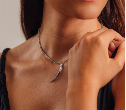 Collar con Dije Cuerno Cadena Mixta en Plata 925